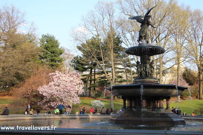 bethesda-fountain-central-park