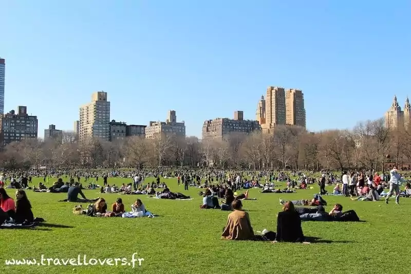 sheep-meadow-central-park