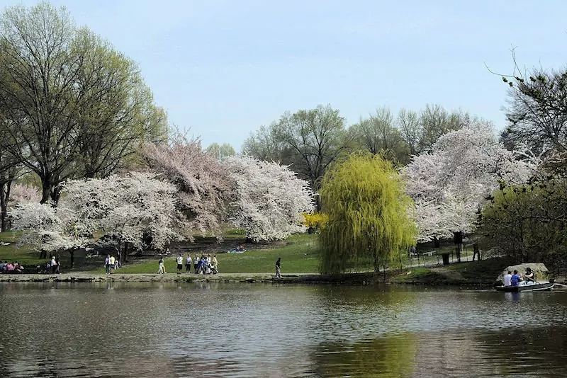 printemps-new-york